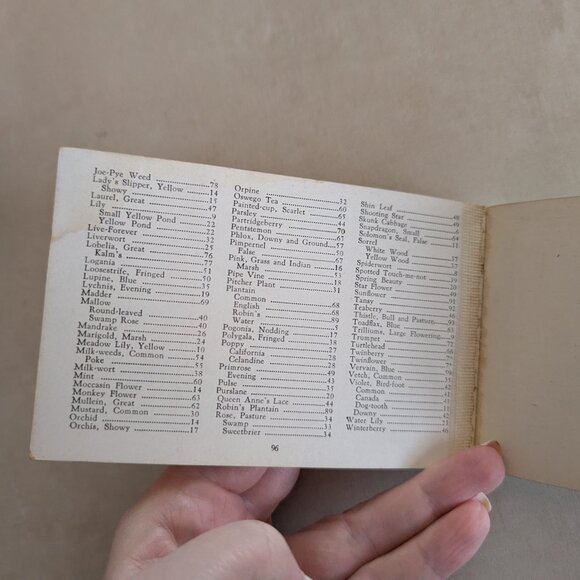 Vintage Wild Flowers of America Paperback Pocket Picture Reference Book 1932 - Picture 13 of 14